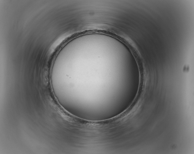 X0000112960878200908271114