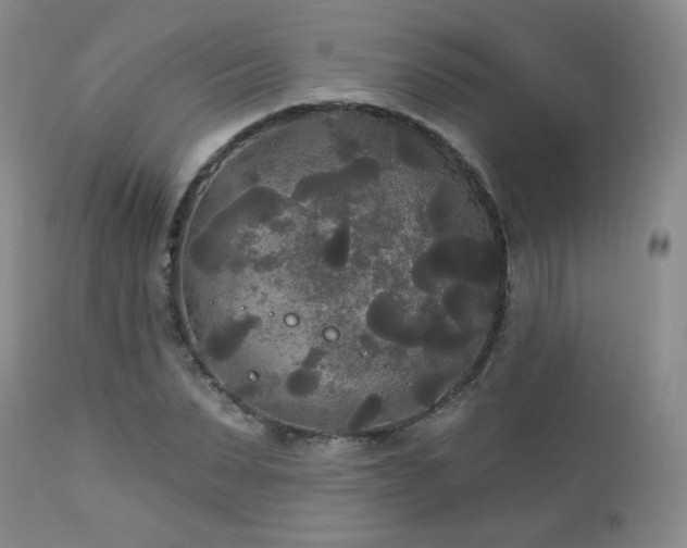 X0000112960879200908271114