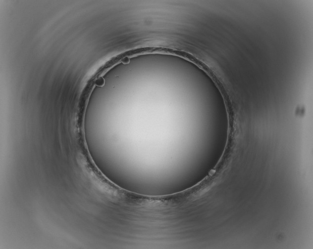 X0000112960880200908271114