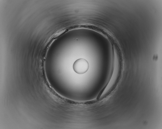 X0000112960881200908271114