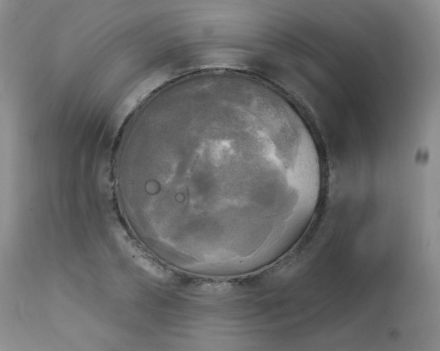 X0000112960882200908271114