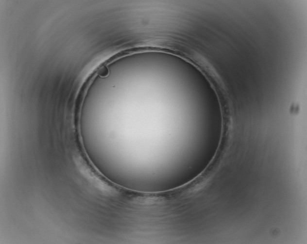 X0000112960884200908271114