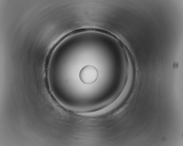 X0000112960885200908271114