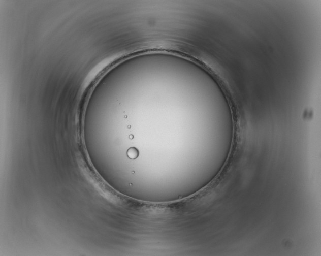 X0000112960886200908271114