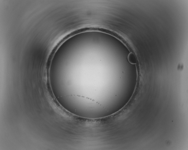 X0000112960887200908271114