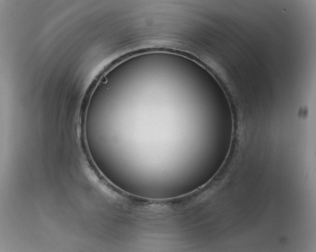 X0000112960888200908271114