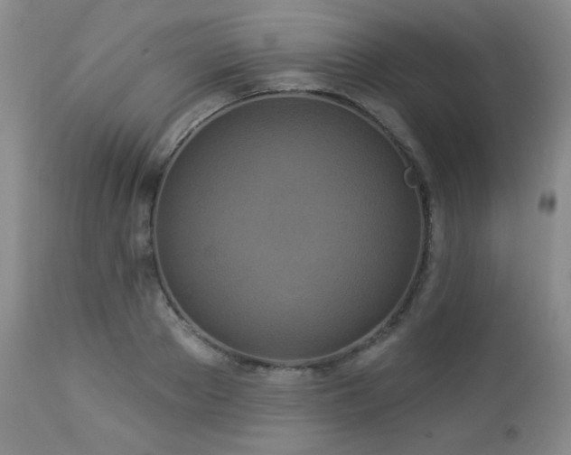 X0000112960889200908271114