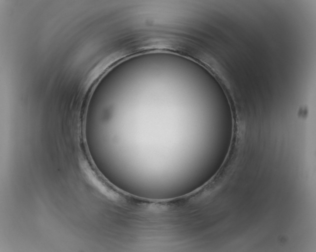 X0000112960890200908271114