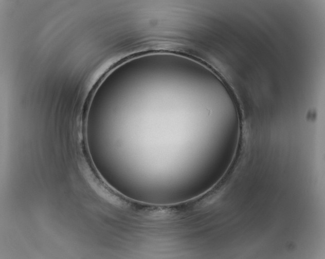 X0000112960891200908271113