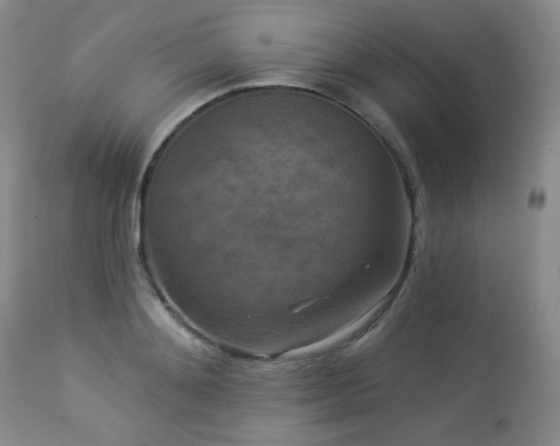 X0000112960892200908271113