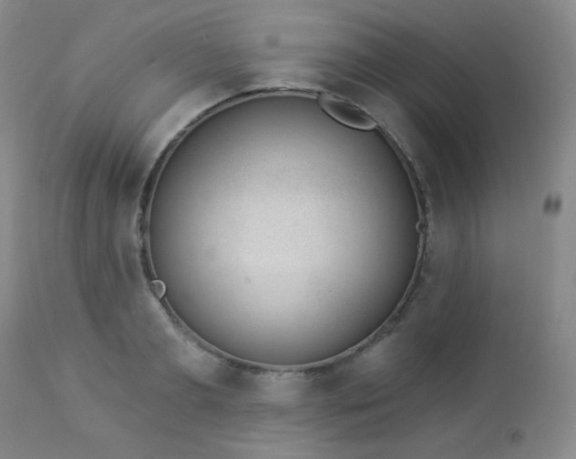 X0000112960893200908271113