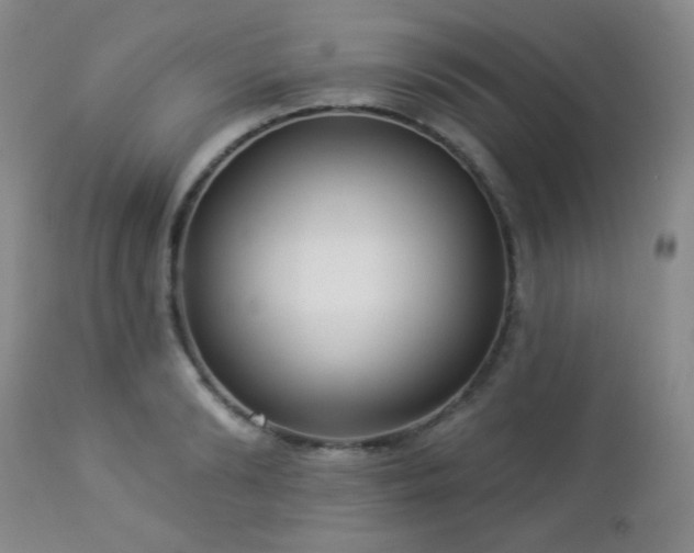 X0000112960894200908271113