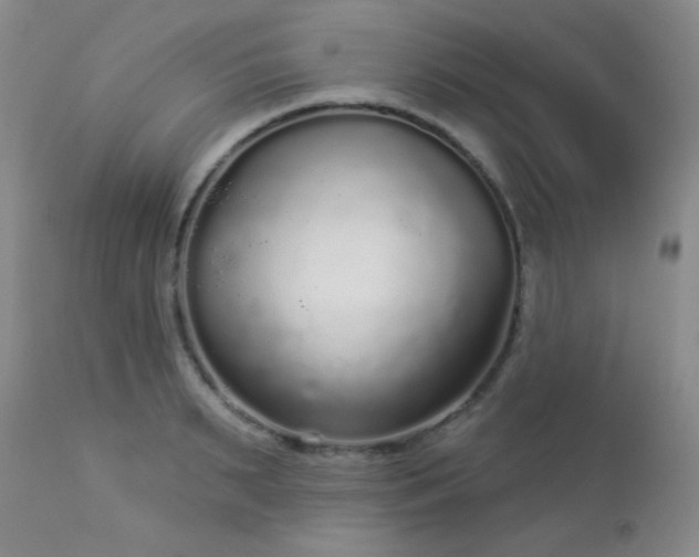 X0000112960895200908271113