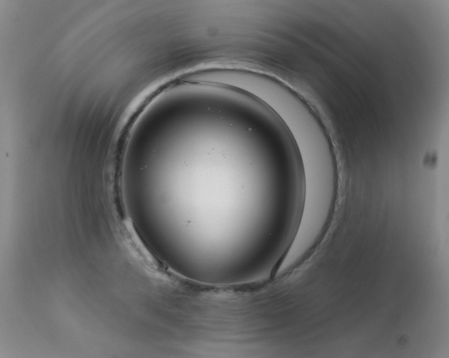 X0000112960896200908271113