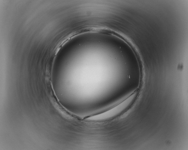 X0000112960897200908271113