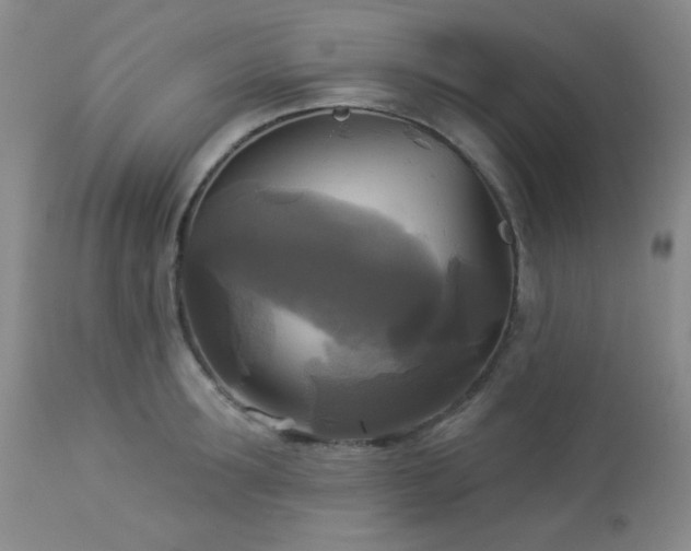 X0000112960899200908271113