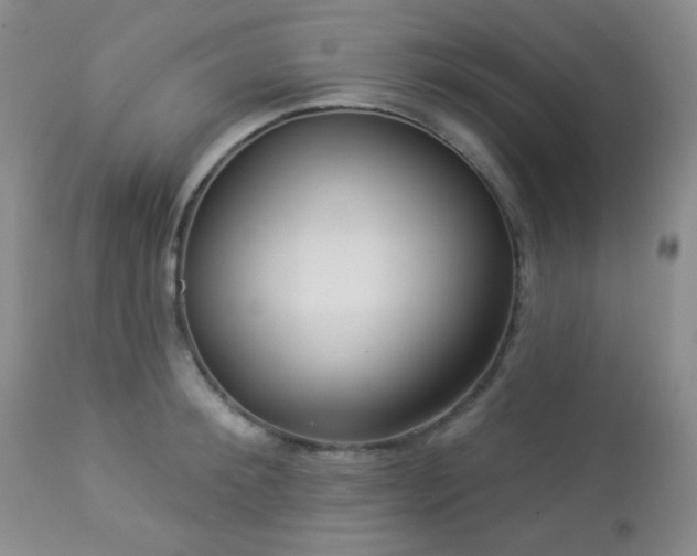 X0000112960900200908271113