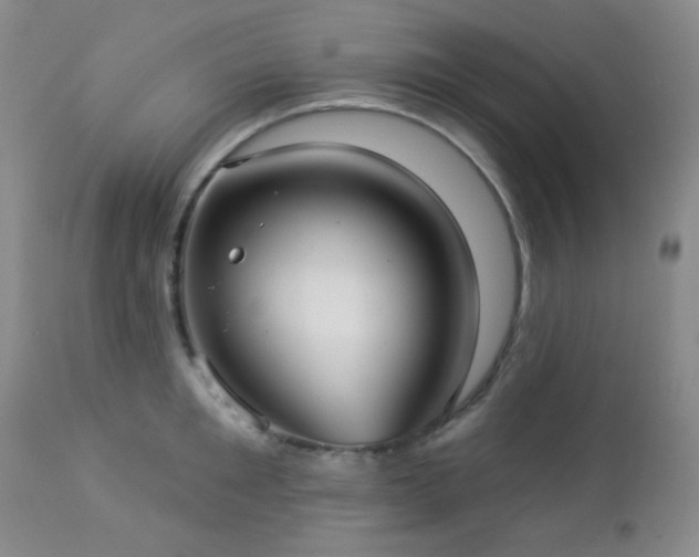 X0000112960901200908271113