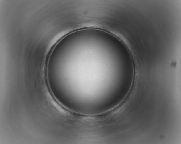 X0000112960902200908271113