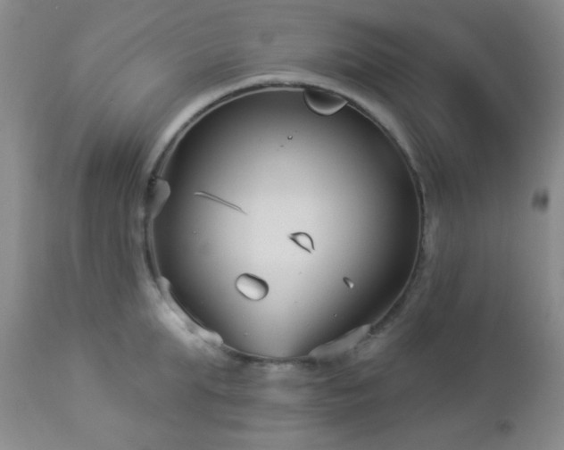 X0000112960903200908271113