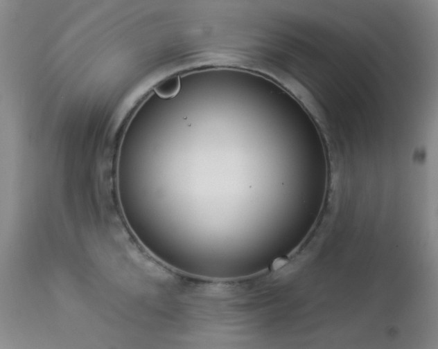 X0000112960904200908271113