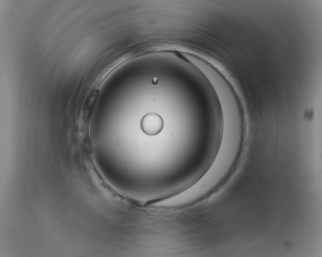 X0000112960905200908271113