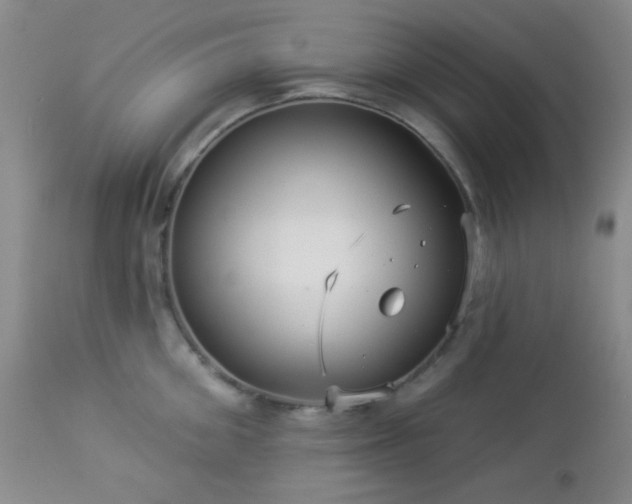 X0000112960906200908271113