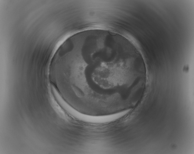 X0000112960907200908271113