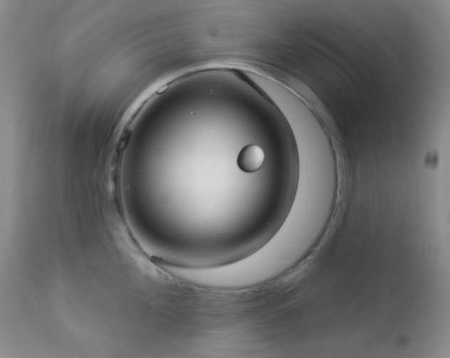 X0000112960908200908271113