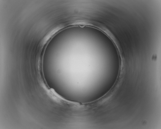 X0000112960909200908271113