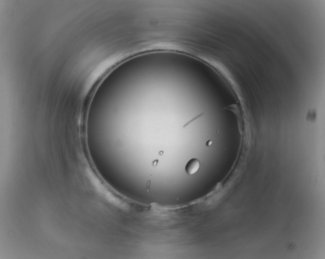 X0000112960910200908271113