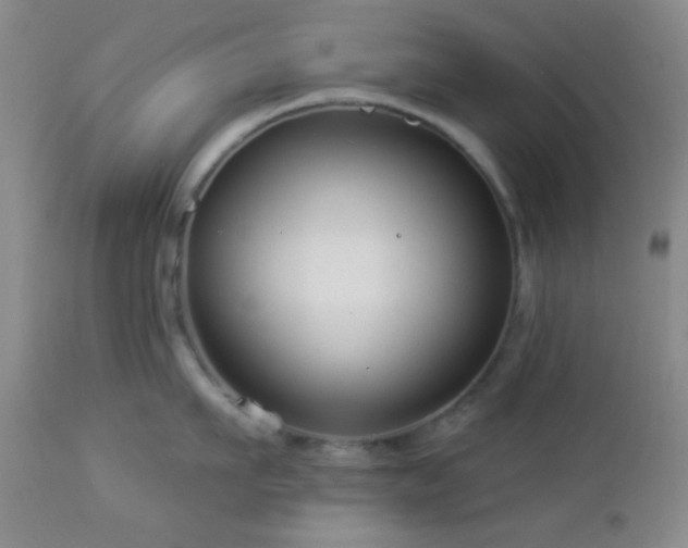 X0000112960911200908271113