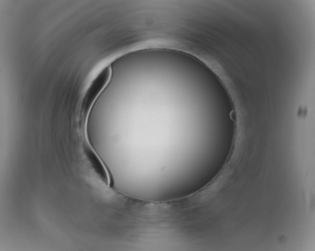 X0000112960912200908271113