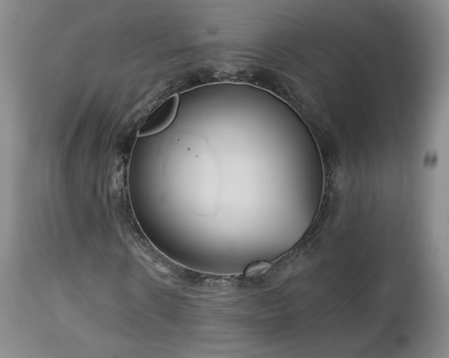 X0000112960914200908271112