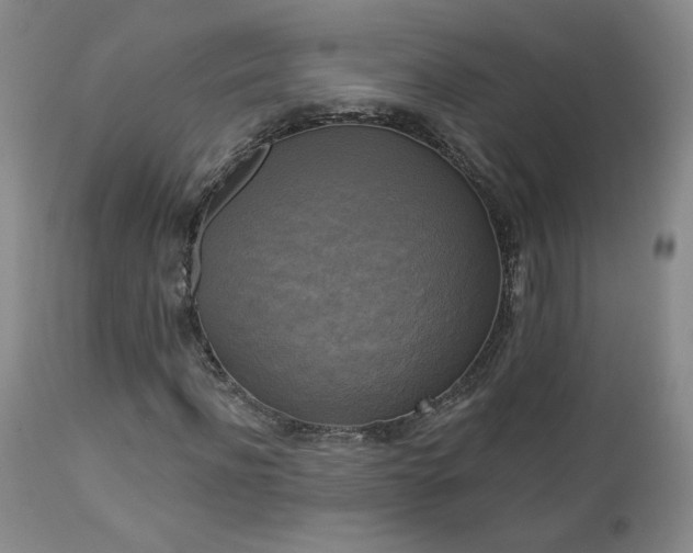 X0000112960916200908271112