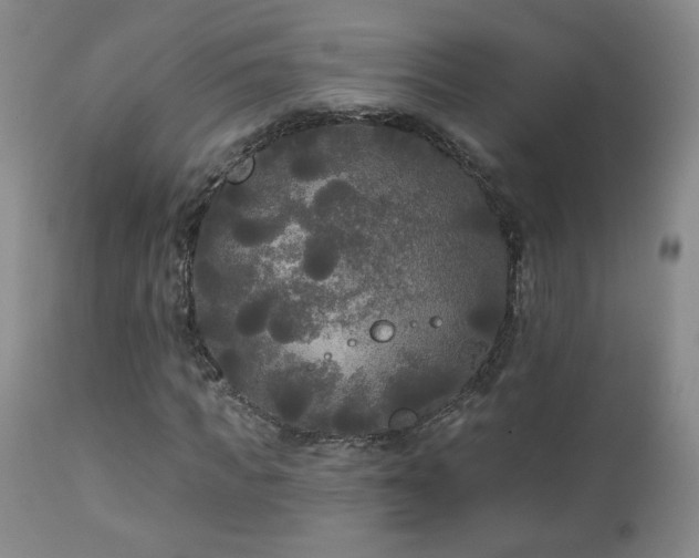 X0000112960917200908271112