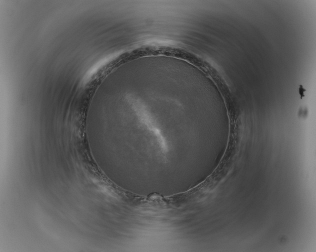 X0000112960919200908271112