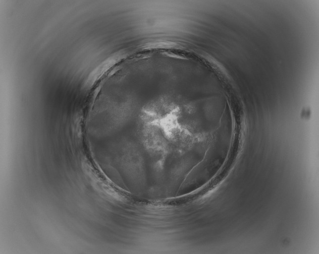 X0000112960921200908271112