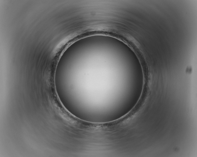 X0000112960922200908271112