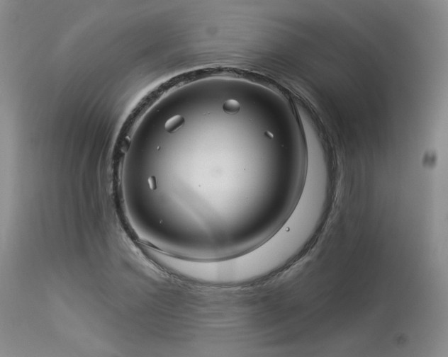 X0000112960924200908271112