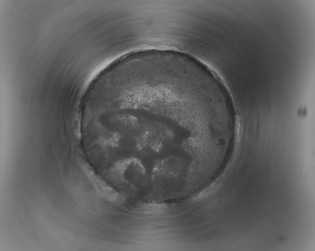 X0000112960925200908271112