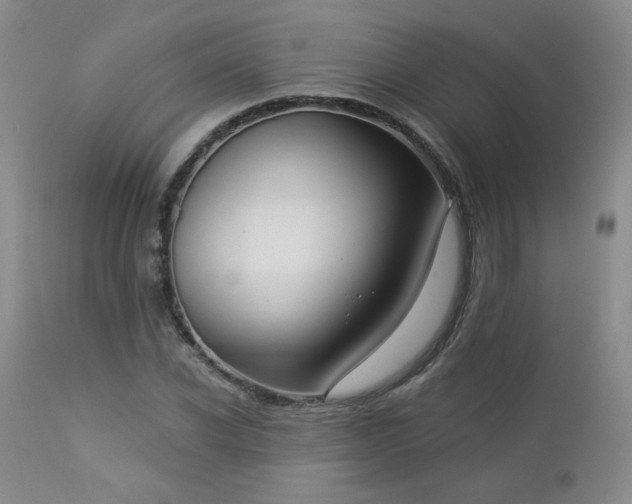 X0000112960926200908271112