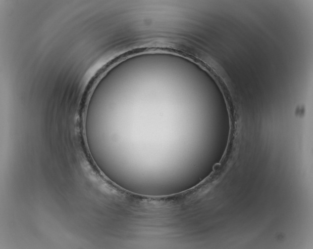 X0000112960928200908271112