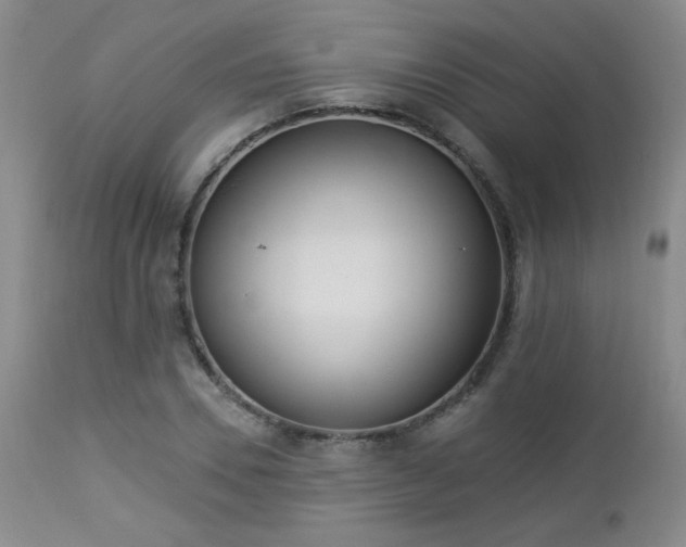 X0000112960930200908271112