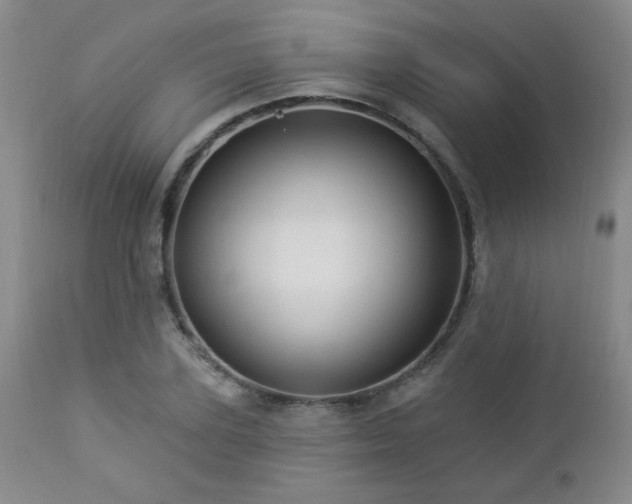 X0000112960931200908271112