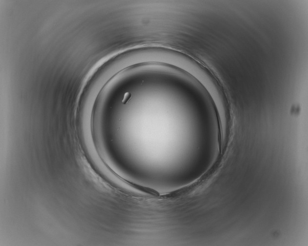 X0000112960932200908271112