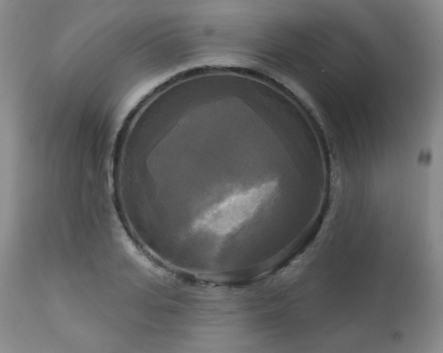 X0000112960935200908271113