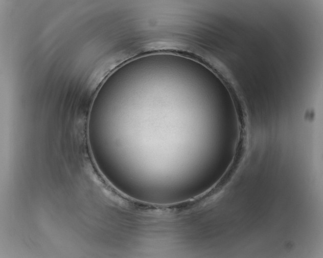 X0000112960937200908271113