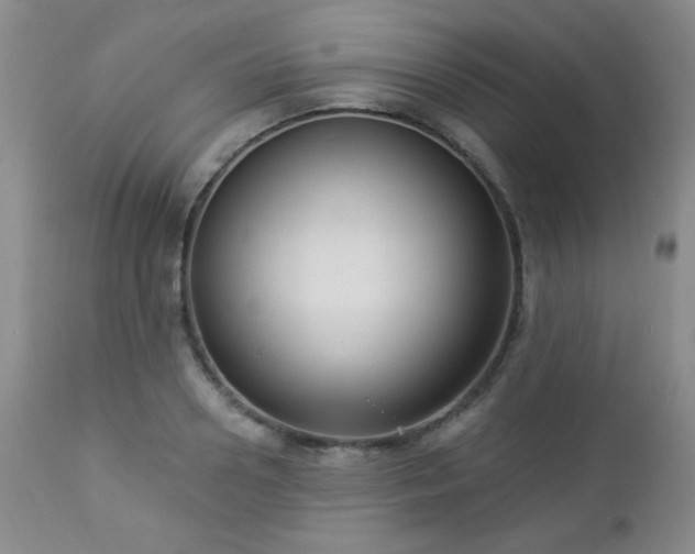 X0000112960938200908271113