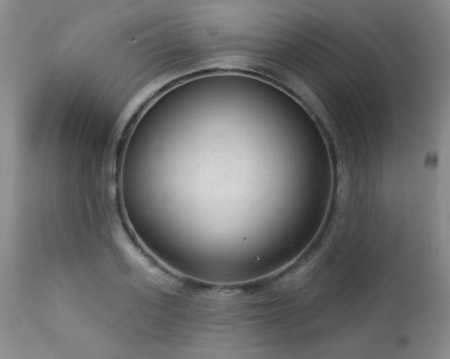 X0000112960939200908271113